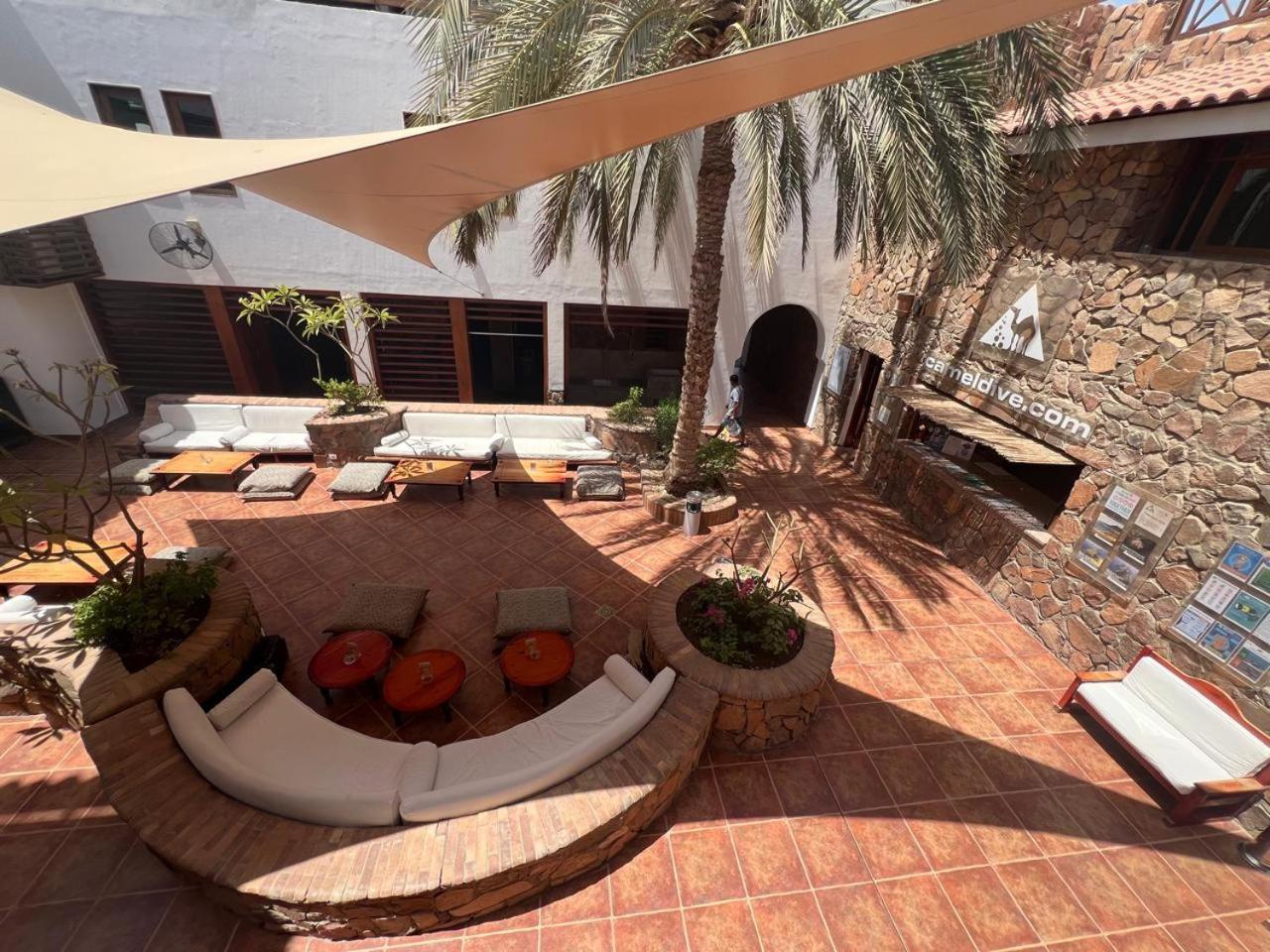Camel Dive Club & Hotel - Boutique Hotel Sharm El Sheikk Exterior foto