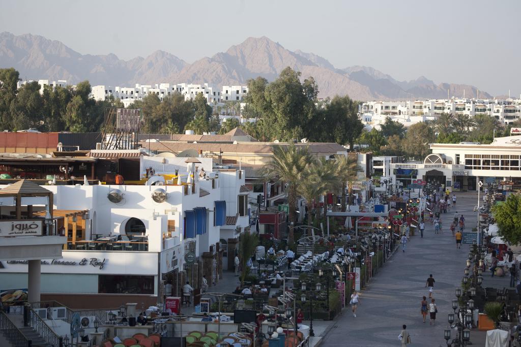 Camel Dive Club & Hotel - Boutique Hotel Sharm El Sheikk Exterior foto
